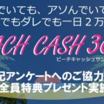 【副業アプリ】BEACH CASH 365(ビーチキャッシュ365) 悪質LINEアカウントは解約するべき？【口コミ・詐欺】